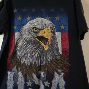 Fruit of the Loom Eagle Graphic T-Shirt - Red, White, Blue, Black